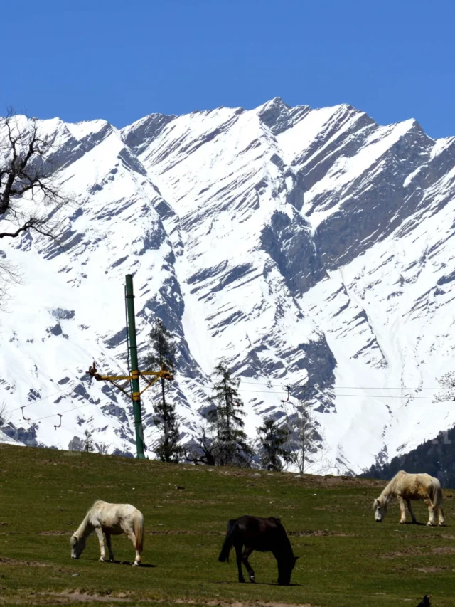 8 Best Places to Visit in Himachal Pradesh