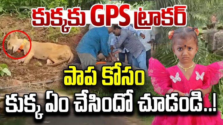 పాప కోసం కుక్క ఏం చేసిందో చూడండి..! | Kakinada Jahnavi Missing Case Latest Updates