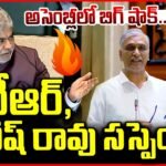 KTR, Harish Rao Suspended