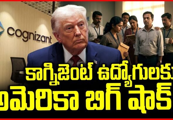 Cognizant Employee Salary