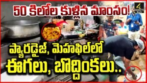 హైదరాబాద్ ప్యారడైజ్, మెహఫిల్ రెస్టారెంట్లలో ఈగలు, బొద్దింకలు గుర్తింపు