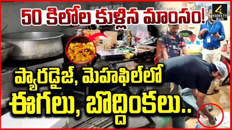 హైదరాబాద్ ప్యారడైజ్, మెహఫిల్ రెస్టారెంట్లలో ఈగలు, బొద్దింకలు గుర్తింపు