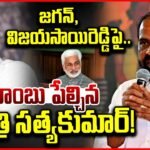బాంబు పేల్చిన మంత్రి సత్యకుమార్