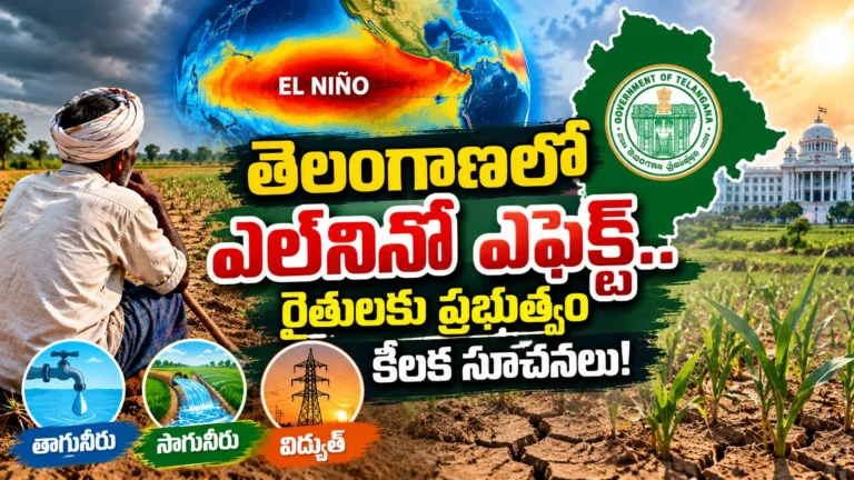 El Niño Impact on Telangana Farmers