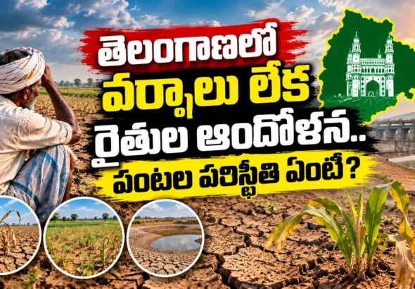 Telangana Drought_ Farmers’ Struggle
