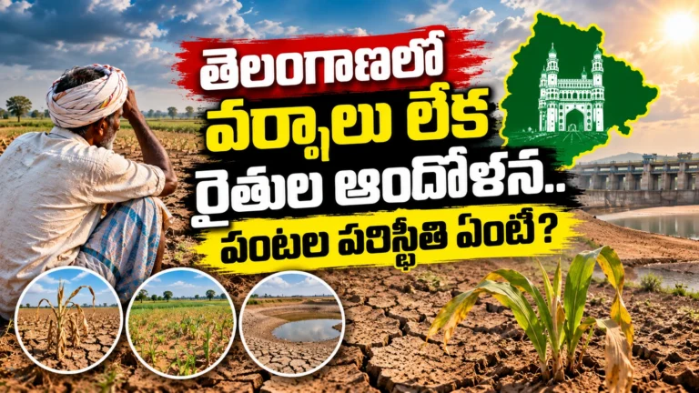 Telangana Drought_ Farmers’ Struggle